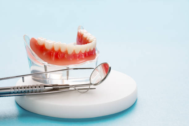 Best Dental Fillings (Composite and Amalgam)  in Winter Garden, FL